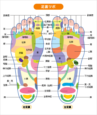 足裏ツボ