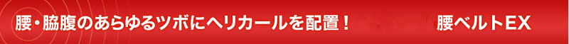 腰・脇腹のあらゆるツボにヘリカールを配置！ヘリカール腰ベルトEX